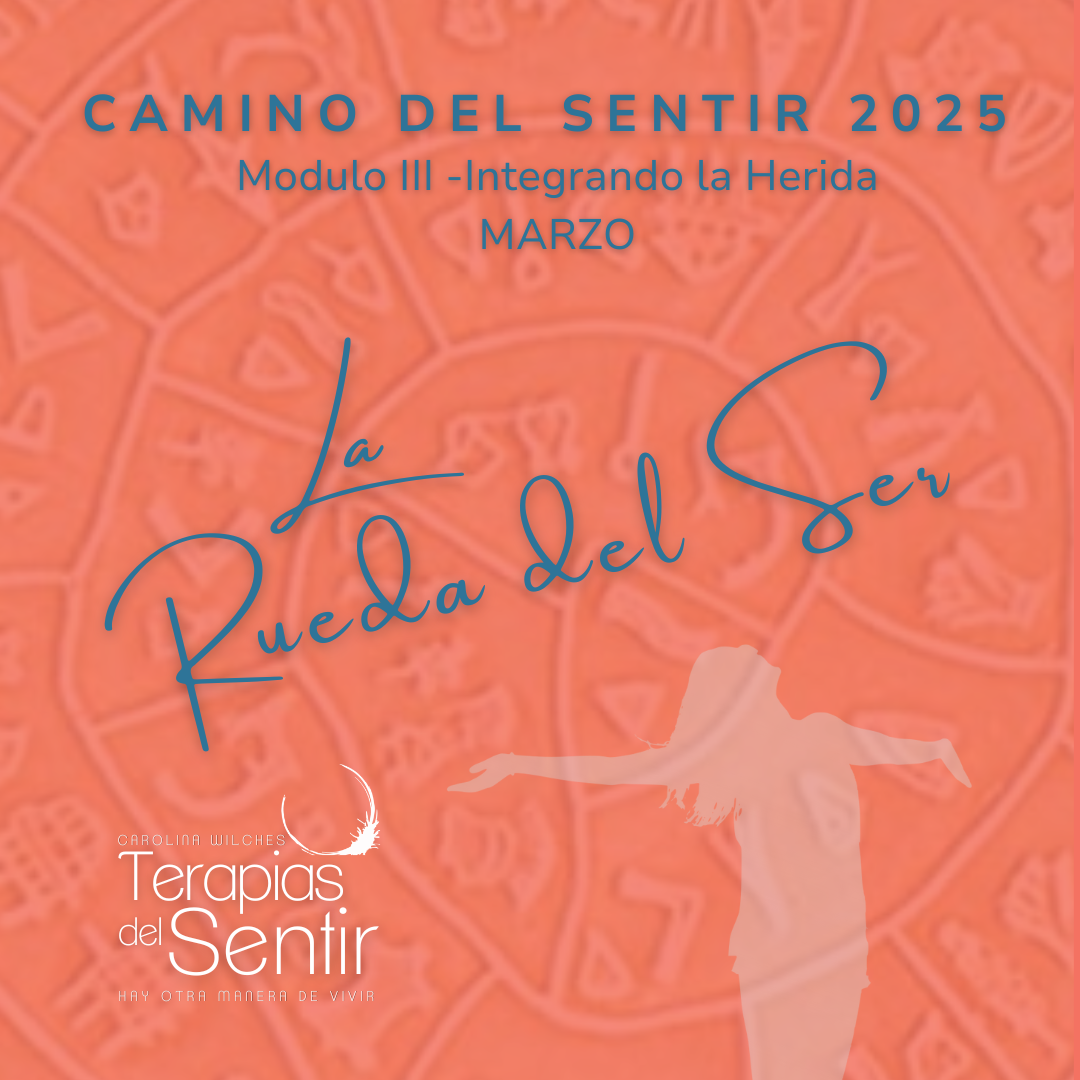 Camino del Sentir – Modulo Marzo 2025 – Integrando la Herida